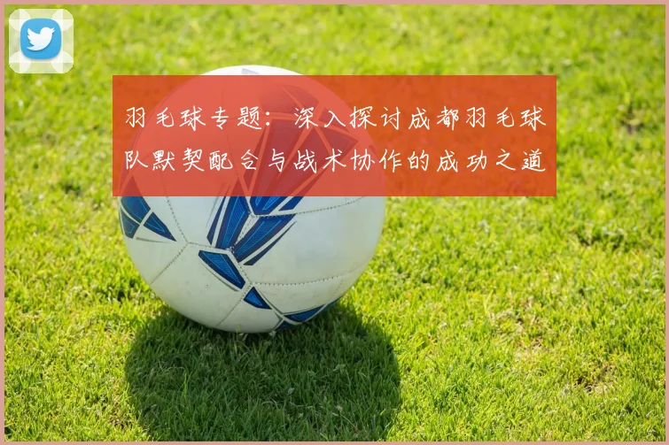 羽毛球专题：深入探讨成都羽毛球队默契配合与战术协作的成功之道